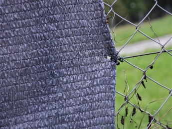 Stínící tkanina Super PloteS 100% TMAVĚ ŠEDÁ- balení 20 m